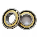 QJ 202N2MA Four point angular contact ball bearings